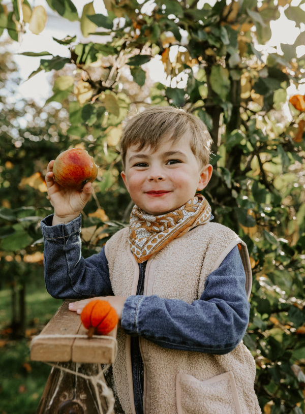 Les mini sessions Automne 2024 au verger