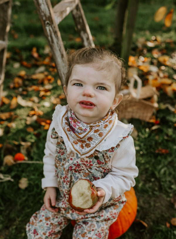 Les mini sessions Automne 2024 au verger