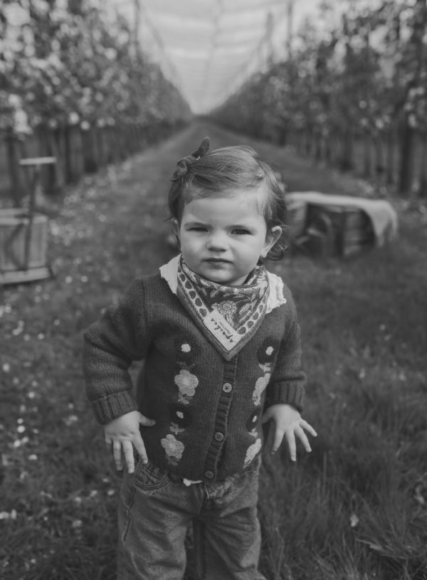 Pomme de reinette & pomme d’api